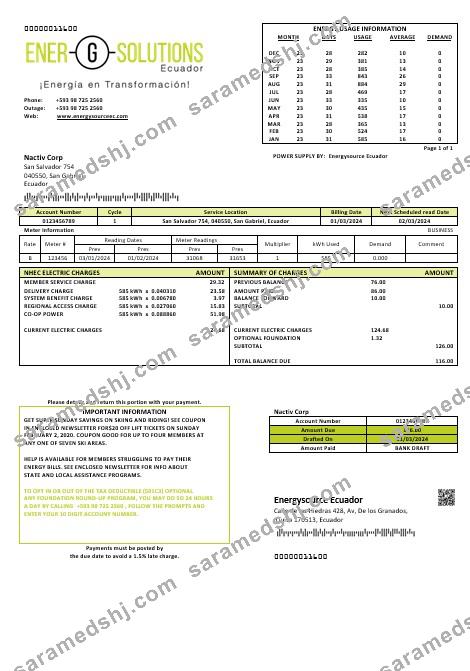 Ecuador Energysource Ecuador energy business utility bill template (2)